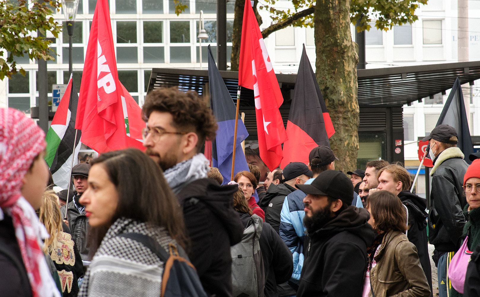 Autoritäre Linke